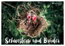 Schwestern und Brüder (Bild: 42 North / Quelle: pexels.com)