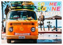 Sommer Sonne Kaktus (Bild: Tyler Nix / Quelle: unsplash.com)