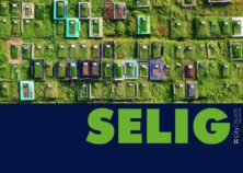 Selig (Bild: Tom Fisk / Quelle: pexels.com)