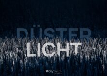 Düsterlicht (Bild: Redd / Quelle: unsplash.com)