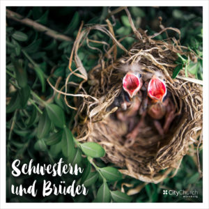 Read more about the article Themenreihe „Schwestern und Brüder“