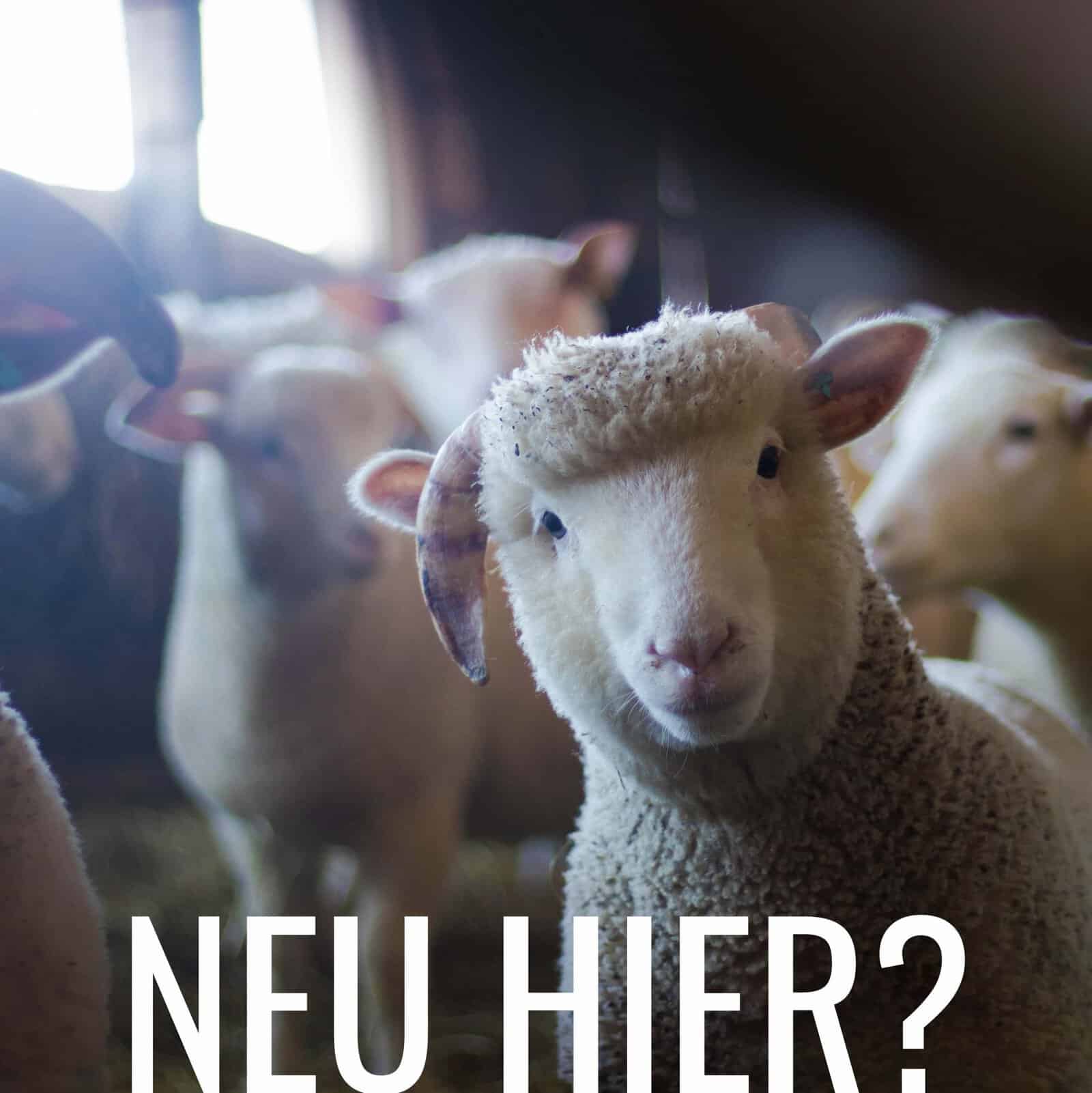 Du betrachtest gerade Neue Leute Abend