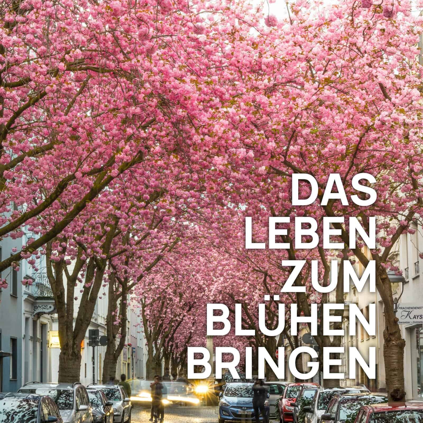 Du betrachtest gerade Morgenkirche / 18. Mai