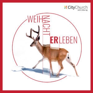 Read more about the article Themenreihe „Weihnacht erleben“