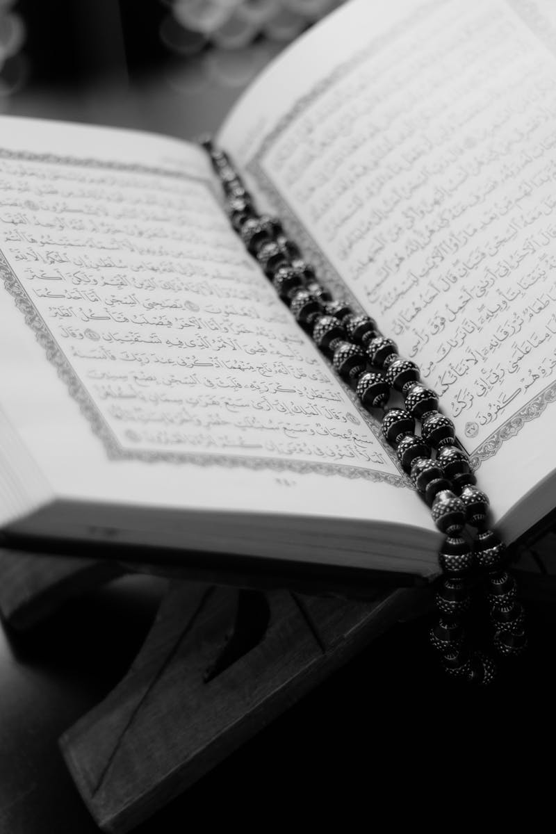 Du betrachtest gerade Seminartag Islam